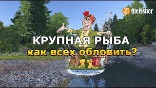 ЗАЧЕМ НУЖНЫ ПОВОДКИ? Гайд theFisher Online