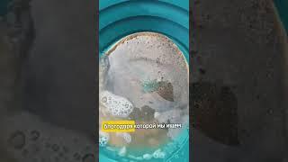 Карта для поиска золота! #добычазолота #золото #золотоискатель