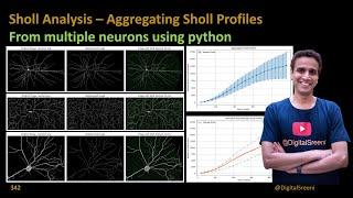 342 Sholl Analysis: Aggregating Sholl Profiles from Multiple Soma