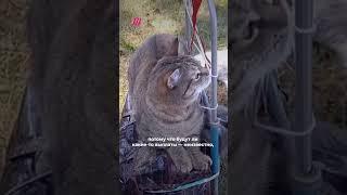 «Все с чистого листа»: жительница Белгородской области об эвакуации Шебекино #война #белгород