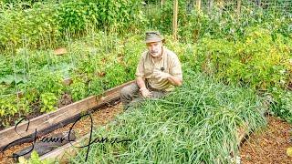 Full Off Grid Vegetable Garden Tour in Zone 4