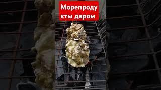Приморский край. Большой Камень. Морепродукты бесплатно! Устрицы ловлю сам. #рецепт