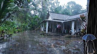 Heavy Rain Walk in Tropical Forest and Indonesia Village | ASMR Rain Sounds