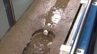 Stream Behavior: Upstream and Downstream Effects (HD)