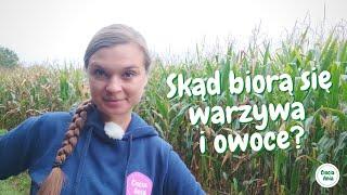 Skąd biorą się warzywa i owoce? I Światowy Dzień Owoców i Warzyw #warzywa #owoce #filmdladzieci