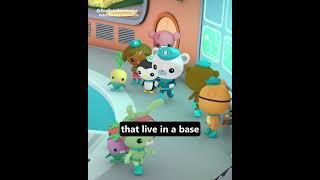 Octonauts Live Where? #shorts