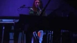 Tori Amos - Not the Red Baron