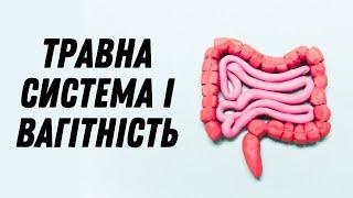 Травна система і вагітність #doctorberezovska #olenaberezovska #вагітність