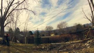 Cutting down the poplars