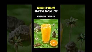 백종원의 빽다방 지역농가 살리기 근황