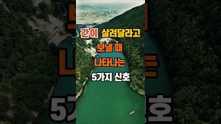 20만뷰 간이 살려달라고 보낼 때 나타나는 5가지 신호 #인생조언 #명언 #좋은글 #지혜