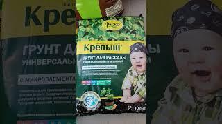 Грунт для рассады на 2025 г. Какой использую я. #дача #сад #огород #цветы #gardening #garden #shorts