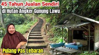 Warung Tengah Hutan Angker Pertapaan Pringgodani Gunung Lawu