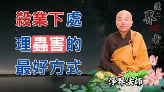 殺業之下,你處理蟲害的最好方式 | 淨界法師 | 佛法精要 | 菩薩戒 | 鬼神 |  惡因緣 |  南無阿彌陀佛 #態度#蟑螂#溝通#結婚