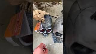 Animated raven on skull by pan Asian creations