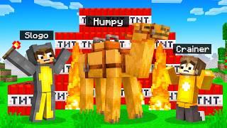 My Friend BLEW UP My Pet Camel in Minecraft.. (Cherry Island)