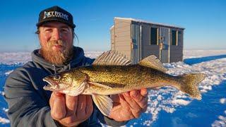 Ice Fishing Walleye on Lake Of The Woods: Northern Minnesota 2024