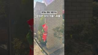 창원은 아직 가을인가요??눈은 커녕 이제야 가을의 정점인듯한 가로수길 #창원 #창원가로수길 #창원가로수길맛집 #창원가로수길카페 #창원크리스마스 #창원데이트 #창원핫플