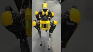 Spot - Boston Dynamics’ robot dog