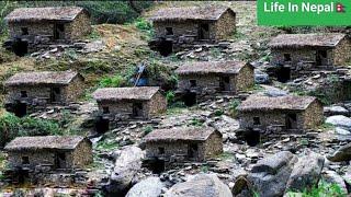 Beautiful Nepali Mountain Village Real Life || Daily Activity Nepali People in Nepal ||