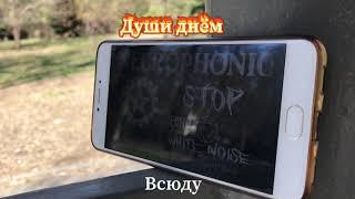 Души ответили днём на Necrophonic | Фэг | Эгф