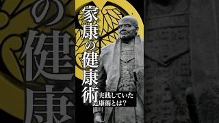 徳川家康の健康術！天下人が実践した長寿の秘訣