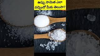 Interesting facts in Telugu | Telugu T10 facts | facts about salt #shorts  #viral #shortvideo