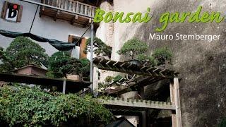 The bonsai garden of Mauro Stemberger