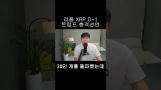 [리플 XRP] XRP 하나만 보유해도 될까?
