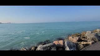 south jetty venice florida fishing the morning saltwater fishing