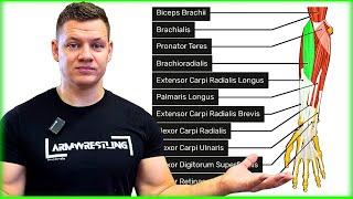 Armwrestling Muscle Breakdown: The Key Muscles You Need to Train for Maximum Power