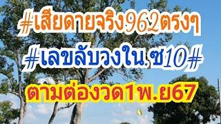 เสียดายจริงๆ"962แตก3ตัวตรงๆ#เลขลับวงใน#ปะทะ#ม้าใน#งวด1พ.ย67ห้ามพลาดเด็ดขาด