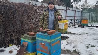  Можно ли сейчас переставить улей на новое место? Пчеловодство для начинающих 2025 