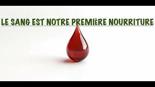 LE SANG EST LA VRAIE PREMIÈRE NOURRITURE: BOIRE SON SANG EST LE RITUEL DE PROTECTION & DE RÉUSSITE..