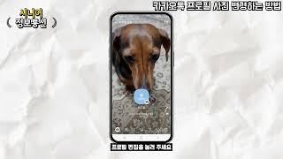 [시니어 정보통신] 카카오톡 프로필 사진 변경하는 법