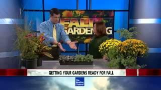 Fall Gardening Tips