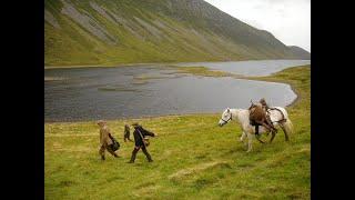 Red Stag Hunting Scotland