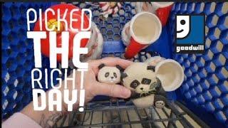 Picked the Right Day! - Shop Along With Me - Goodwill Thrift Store