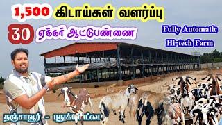 பசுந்தீவனம் இல்லாமல் ஆடு வளர்க்கலாம் / 12,000 Sq ft பண்ணை / 2000 கிடாய்கள் / 30 ஏக்கர் ஆட்டுபண்ணை