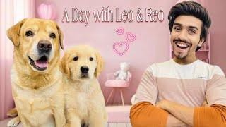 A Day With Leo & Reo | Leo Ke Baby Ki First Bath | Anant Rastogi