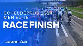 SUPER SPRINT  | Scheldeprijs 2024 Men's Elite Race Finish | Eurosport Cycling