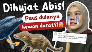 DIHUJAT ABIS KARNA INI! BAHAS LAGI TENTANG PAUS DULUNYA HEWAN DARAT?! | Cerita Laut