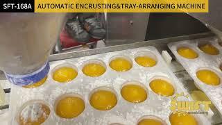 How to Make Mochi Gelato in Factory Production 糯米糍工厂设备