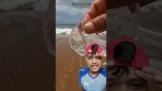 Clear jellyfish #beach #oceanrescue #travel #ocean #rescue #trending #funny #comedy #shorts #tiktok