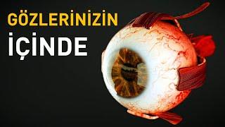 Gözlerinizin İçinde Neler Olur?