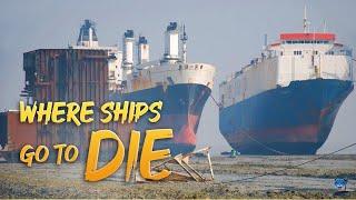 Where Ships Go To Die | Alang : The World's Biggest Ship Breaking Yard 2021 | Incredible I |