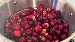 I Made Cherry Juice Using Only Homemade Tools
