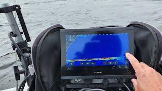 Don't make the same mistake!! GARMIN LIVESCOPE PLUS