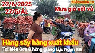 Cập nhật chợ vải hôm nay 22/6/2025 tại biên Sơn hàng chợ sấy hàng xuất khẩu ngày mưa gió