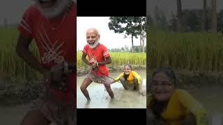 মোদী হাসিনাকে দিয়ে জমিতে মই দিলো #shorts